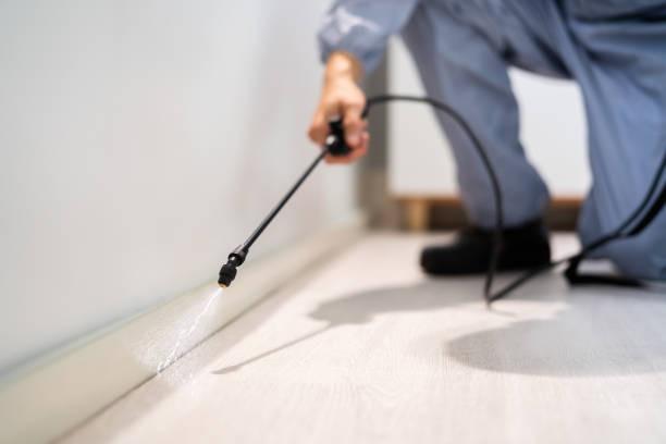 Licensed Pest Control service in New Haven, CT - Nex Pest Control