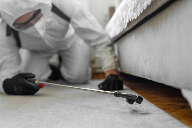 Professional Pest Control technician working in New Haven, CT