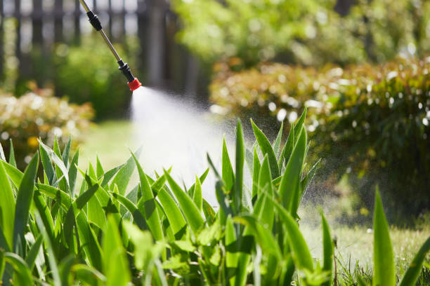24/7 Emergency Fumigation Services experts in New Haven, CT