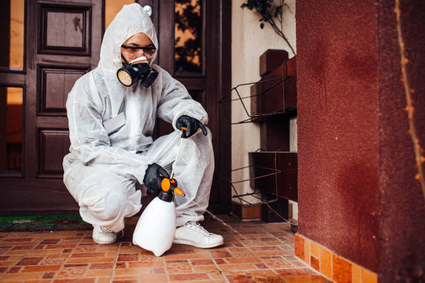 Reliable Fumigation Services contractor in New Haven, CT by Nex Pest Control