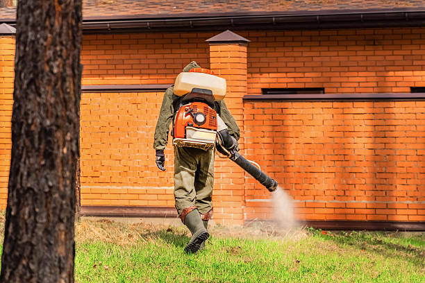 Trusted Cockroach Control service in New Haven, CT - Nex Pest Control